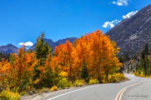 Rock Creek road-4960.jpg